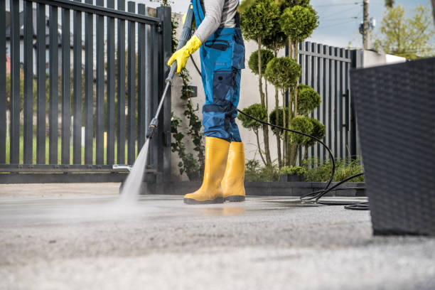 Best Best Pressure Washing Companies  in Ithaca, NY