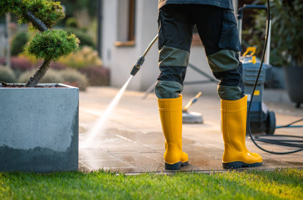 Best House Pressure Washing  in Ithaca, NY